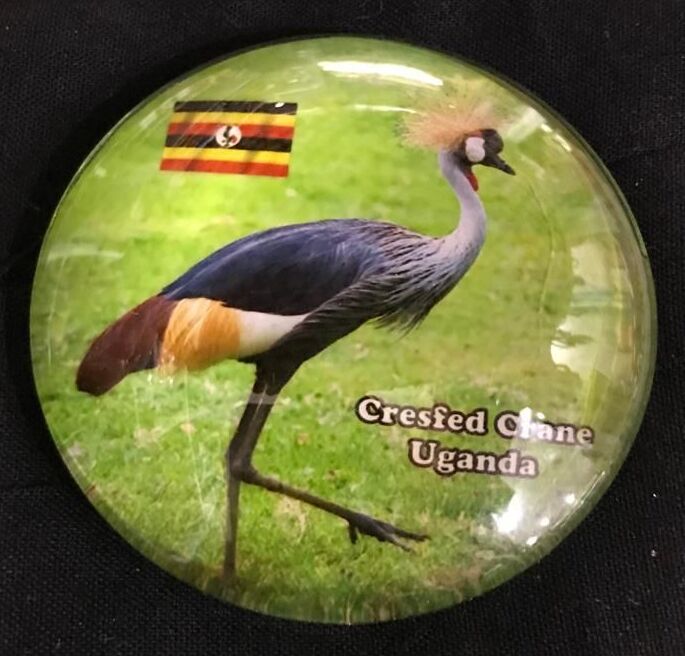 Fridge Magnet