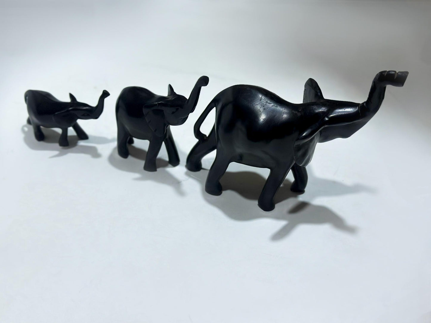 Herd of elephants