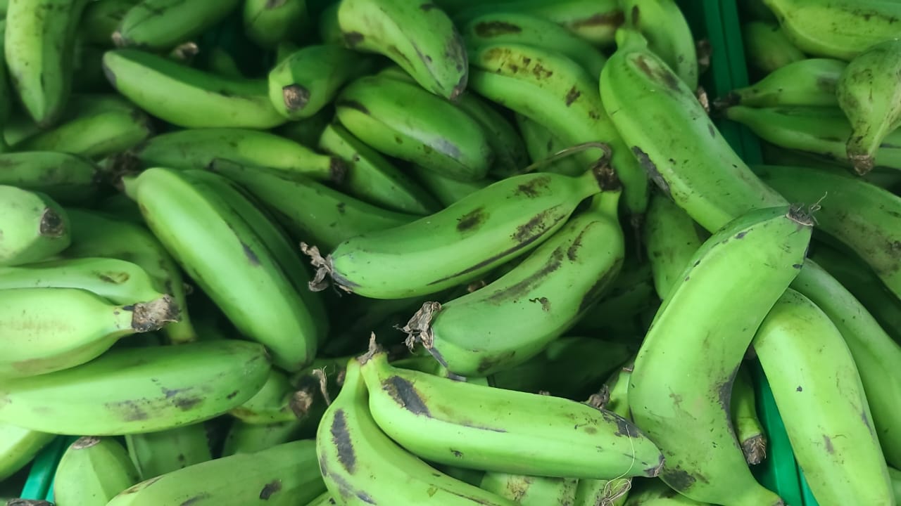 Green bananas/ Matooke