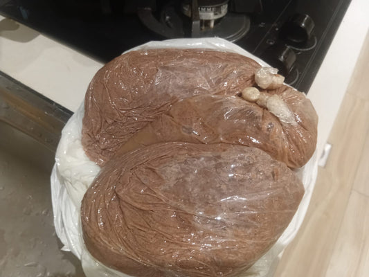 Gnut Paste (Groundnut Paste / Peanut Paste)