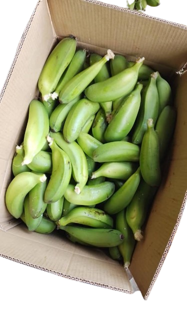 Green bananas/ Matooke