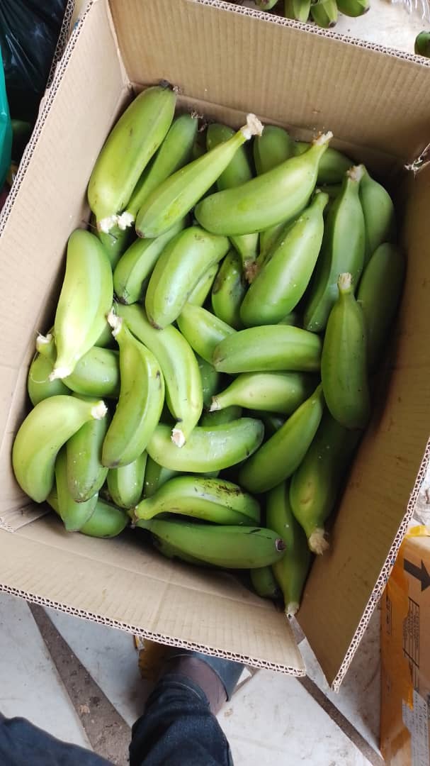 Green bananas/ Matooke