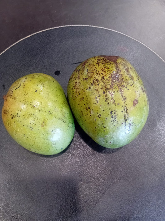 Mangoes