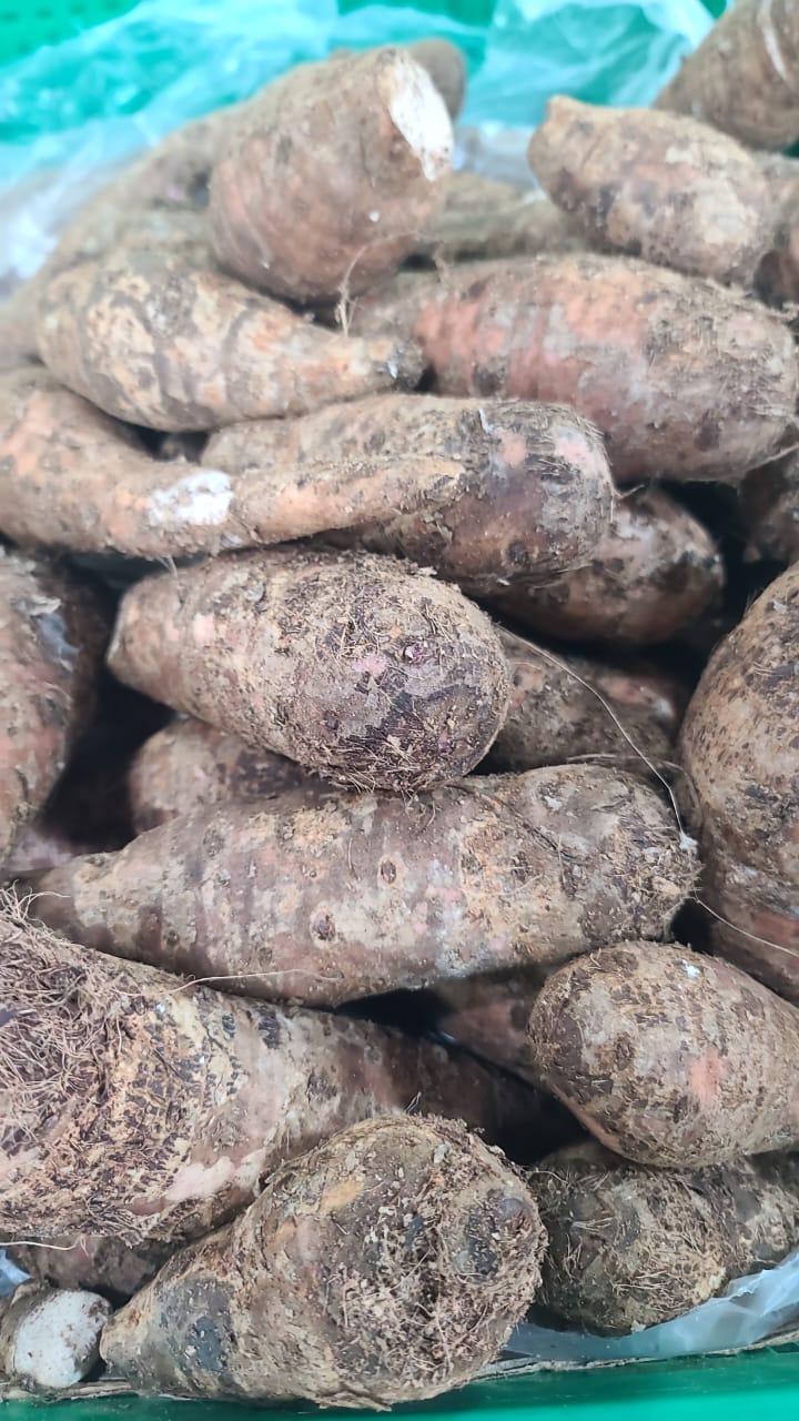 Bukopa / Small yams
