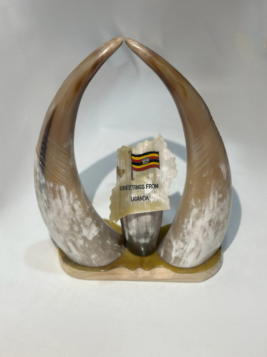 Cow horn decor